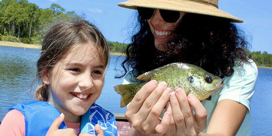 fishsingtackleandreels.com