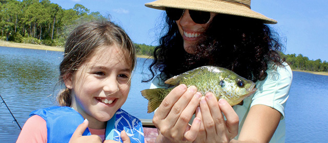 fishsingtackleandreels.com